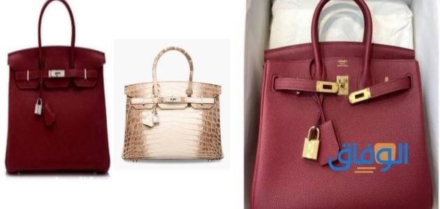 أشكال وأسعار (شنط ارميز) الأغلى في العالم