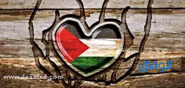 صور لعلم فلسطين جميلة! | +200 صورة رائعة
