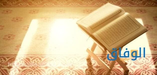 أحكام التجويد؟ وكيفية استخراجها أحكام التجويد كاملة