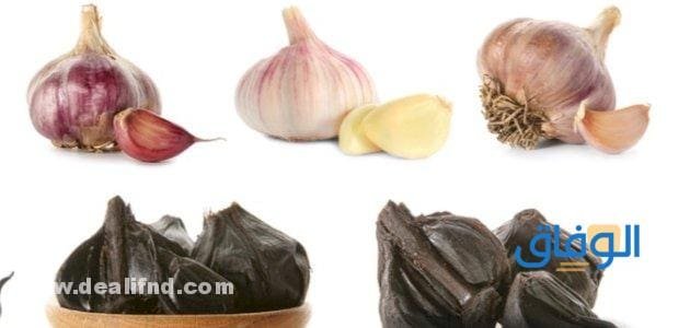 +05 أنواع الثوم – و+15 فوائده؟