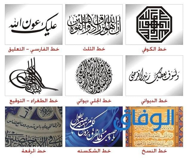 +10 أنواع الخطوط | وأبرز أشكالها !!