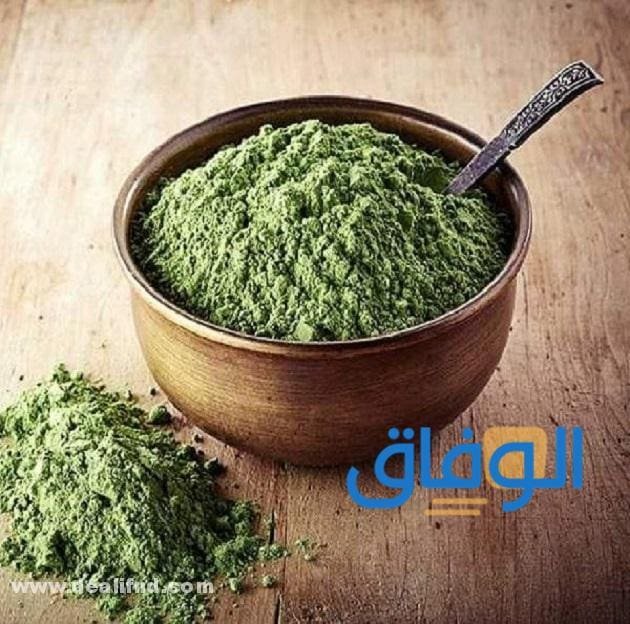 عشبة المشاط (فوائدها + كيفية الاستخدام)