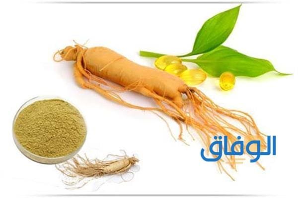 فوائد الجنسنج