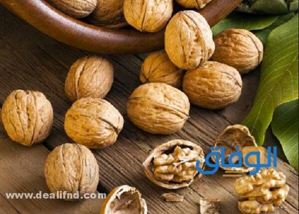 +10 فوائد عين الجمل للرجال | نتائج مذهلة