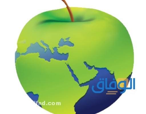 كم؟ اسعار اشتراك دايت ورلد 2024