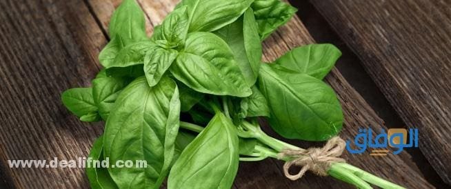 فوائد الريحان