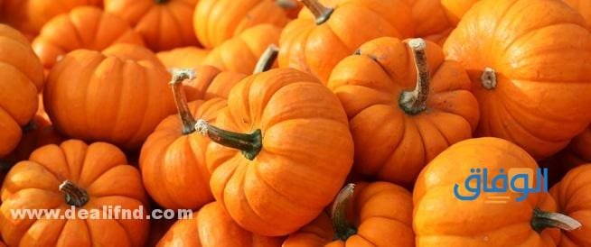 فوائد القرع