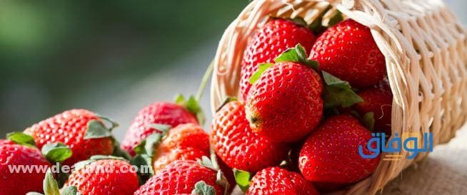 فوائد الفراولة | للبشرة – للأطفال – لـكوفـيـد – للمرأة؟ +30