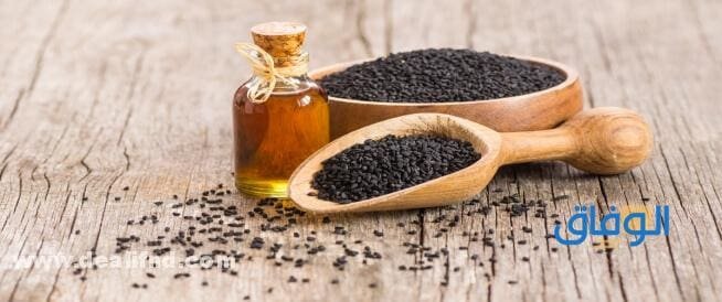 فوائد حبة البركة .. 50 فائدة لـ حبة البركة على الصحة فوائد حبة البركة