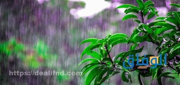 عبارة عن المطر أكثر من 10 عبارات عن سقوط المطر كلمات عن المطر والشتاء