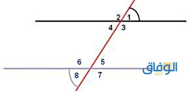 انواع الزوايا | 14 نوع لا تعرفهم! الزوايا المتبادلة