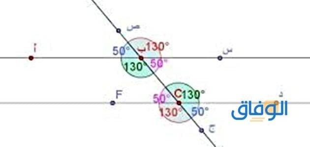 انواع الزوايا | 14 نوع لا تعرفهم! الزوايا المتساوية