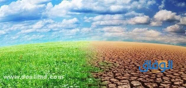 تأثير التفاعلات الكيميائية على البيئة | التقليل من تلوث البيئة تأثير التفاعلات الكيميائية على البيئة