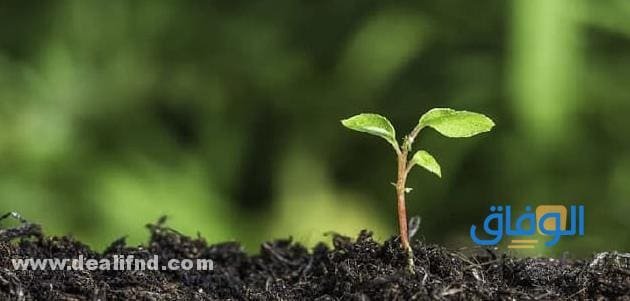 تأثير التفاعلات الكيميائية على البيئة | التقليل من تلوث البيئة تأثير التفاعلات الكيميائية على البيئة