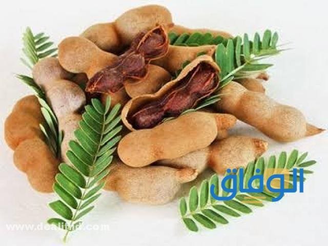 فوائد التمر الهندي | أهم +15 فائدة