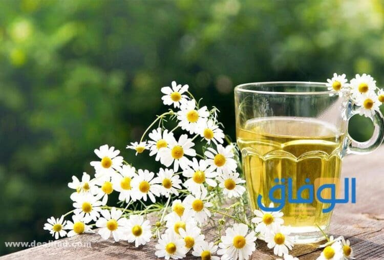 فوائد شاي البابونج
