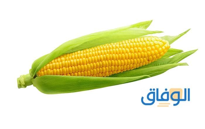 +30 فوائد الذرة الصفراء للجنس | للرجيم - للحامل - للقولون؟ فوائد الذرة