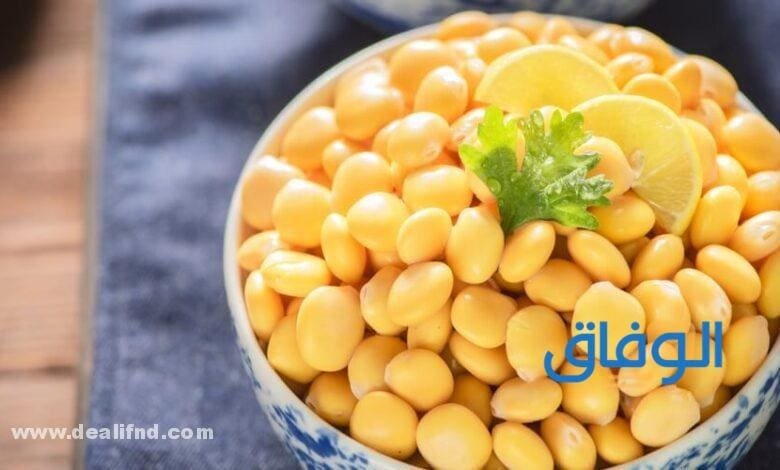 فوائد الترمس | كنز غذائي يجهله الكثيرين