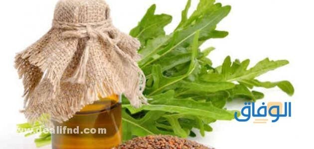 فوائد زيت الجرجير للشعر