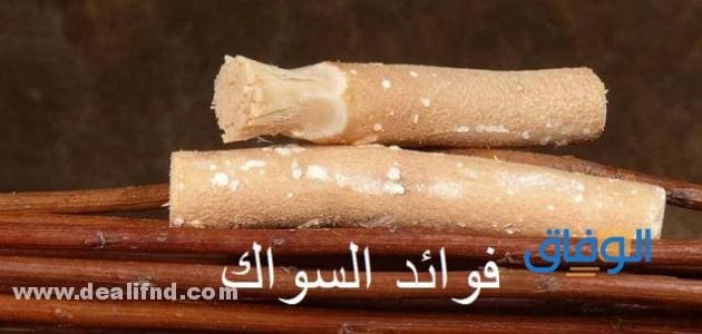 +30 فوائد السواك | للنساء – للرحم – للمعدة – للسان؟
