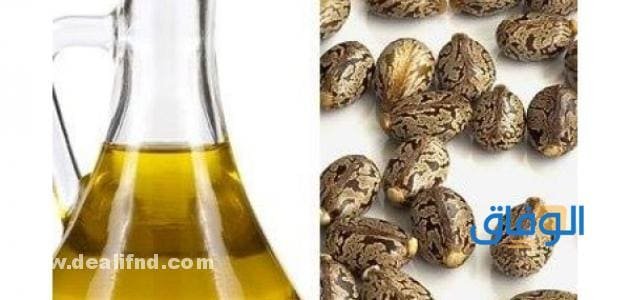 فوائد زيت الخروع