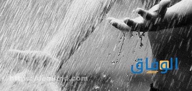 عبارة عن المطر أكثر من 10 عبارات عن سقوط المطر عبارة عن المطر