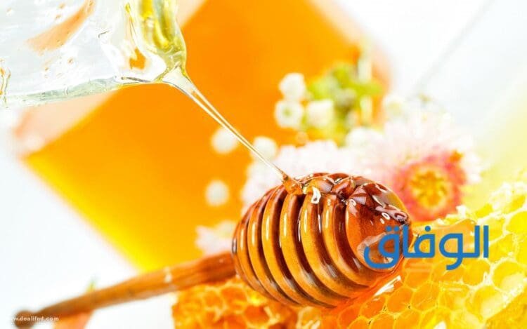 فوائد عسل مانوكا فوائد عسل مانوكا
