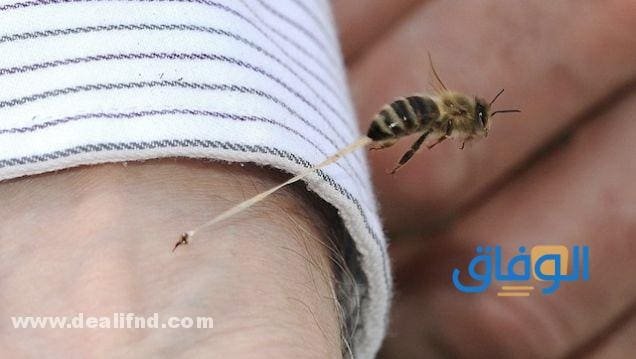 فوائد قرص النحل