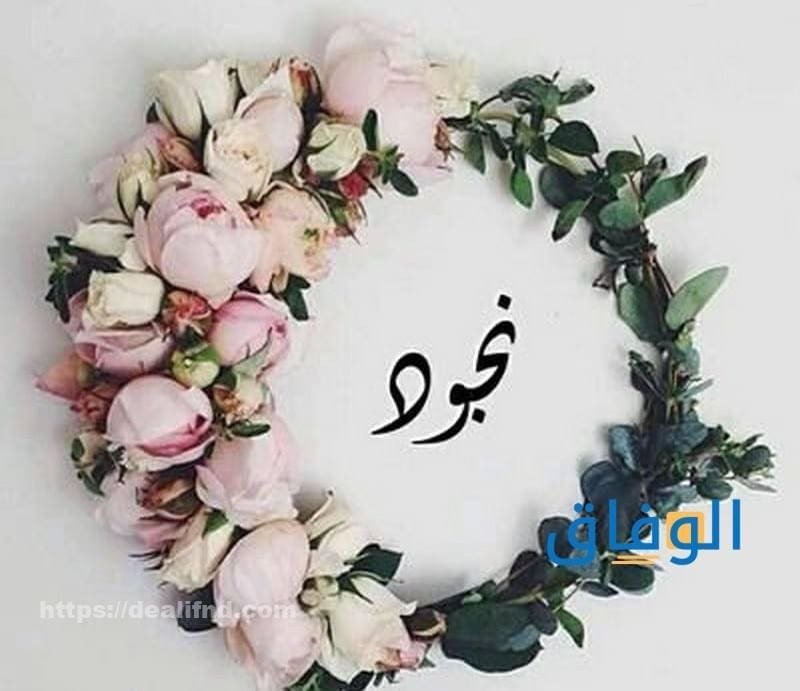 معنى اسم نجود أهم 6 صفات لحاملة الاسم معنى اسم نجود
