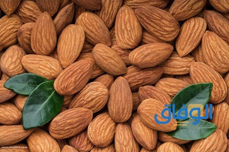 فوائد اللوز الهندي