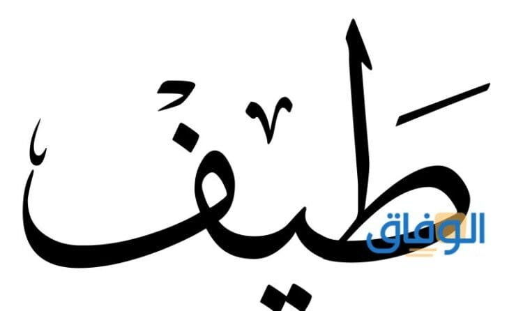 معنى اسم طيف