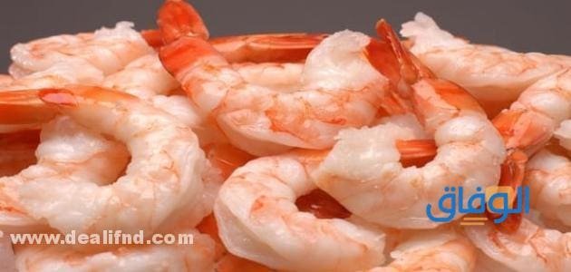 انواع الروبيان