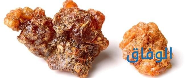 منقوع المرة وأهم 7 فوائد منقوع المرة