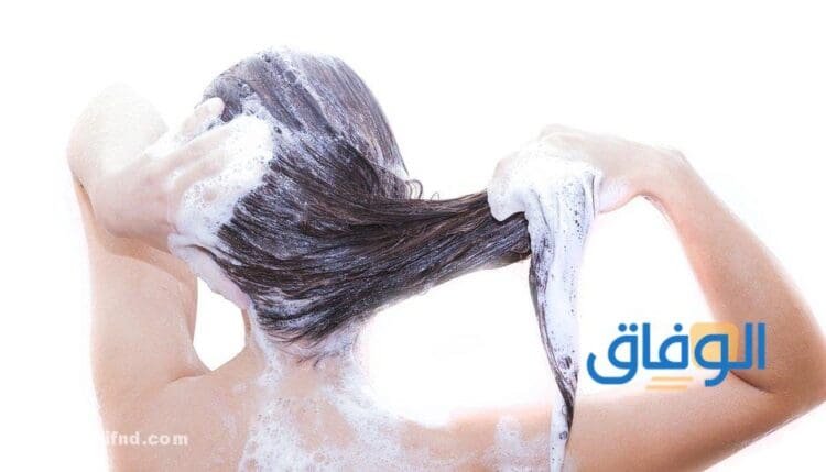 شامبو طبيعي للشعر