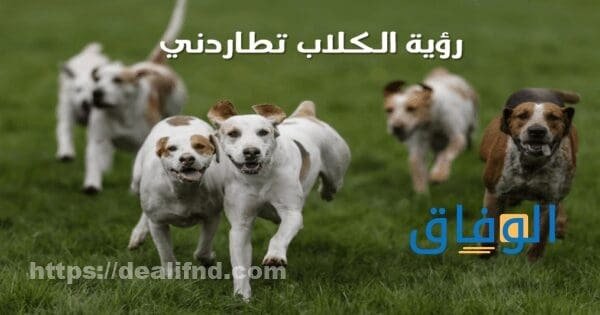 تفسير حلم الكلب مطاردة الكلاب في المنام للرجل