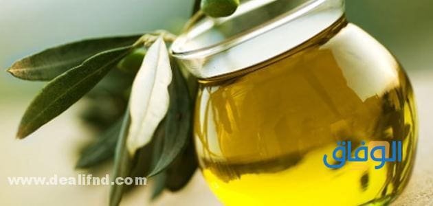 6 من فوائد زيت زيتون الشعر لم تعرف عنها من قبل
