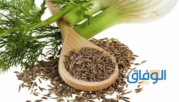 فوائد الشمر للرجال
