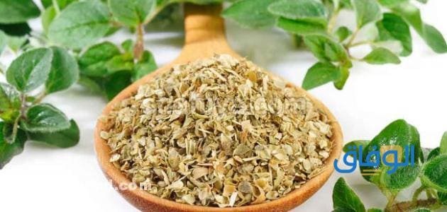 فوائد البردقوش للنساء