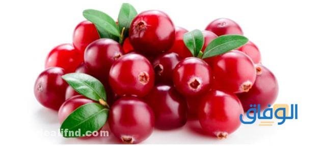 اعرف فوائد التوت البري | للرجال والمساء في سطور