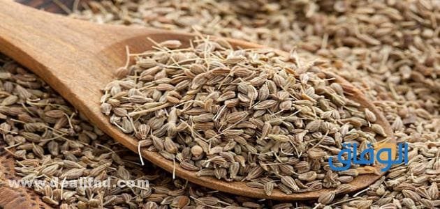 فوائد اليانسون