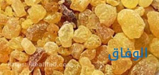 منقوع المرة وأهم 7 فوائد فوائد المرة للبشرة الدهنية