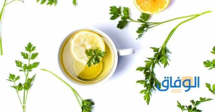 فوائد مغلي البقدونس