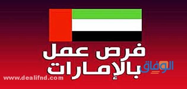 وظائف في الامارات للمصريين 2024 | أكثر من 12 وظيفة