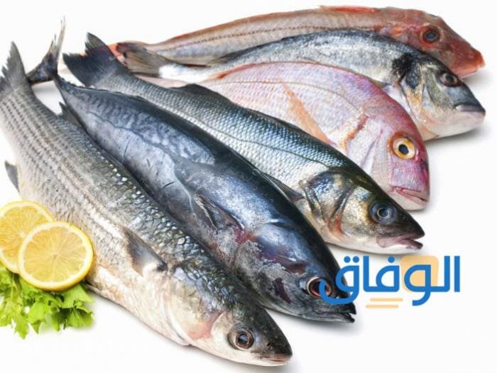 فوائد السمك