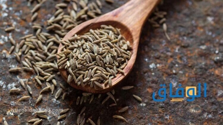 أضرار الكمون | وأبرز +10 فوائد للكمون