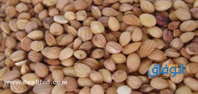 أهم فوائد المحلب للشعر؟ 10 فوائد ستبهرك