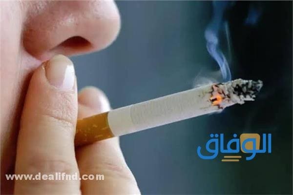تفسير حلم شرب السجائر تفسير حلم شرب السجائر