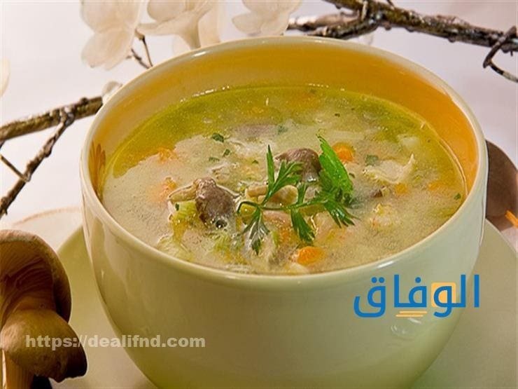 الشوربة الحارقة وخسارة 7 كيلوجرام من جربت رجيم الشوربة الحارقة للدهون