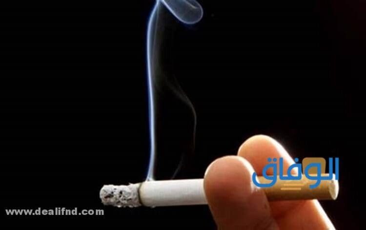 تفسير حلم شرب السجائر تفسير حلم شرب السجائر