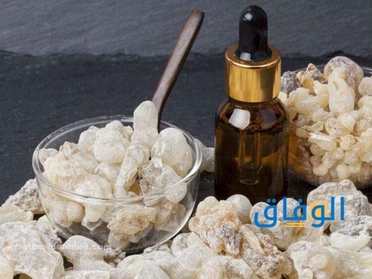 فوائد لبان الذكر للوجه أهم 10 فوائد يقدمها اللبان الذكر للمرأة تجربتي مع لبان الذكر للوجه